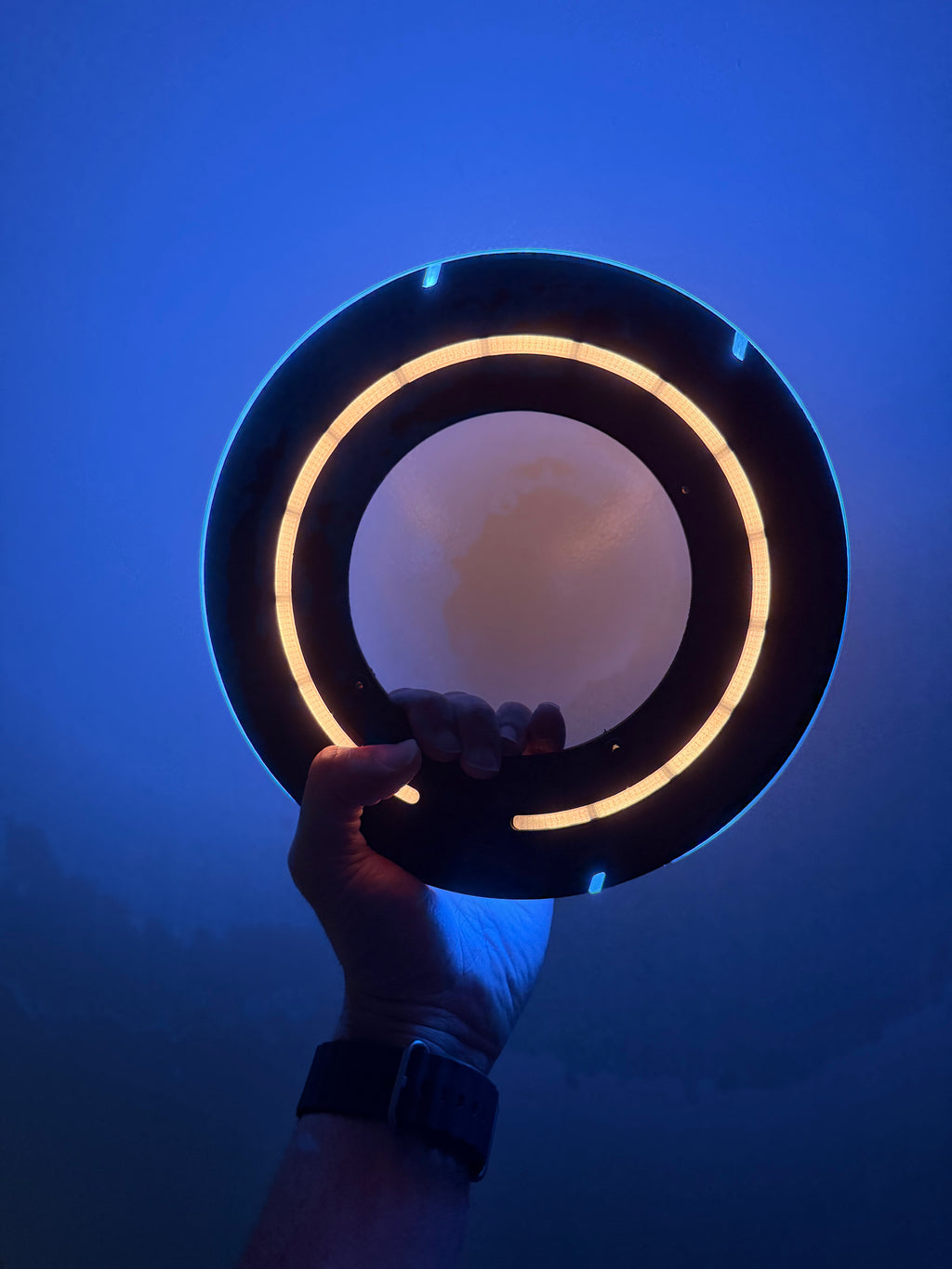 TRON Legacy Identity Disc Replica – LED Light & Sound FX with Display Stand | USB-C Rechargeable